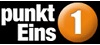 Das Logo von punktEins GmbH