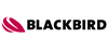 Blackbird Robotersysteme  GmbH