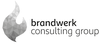 Das Logo von brandwerk solution GmbH